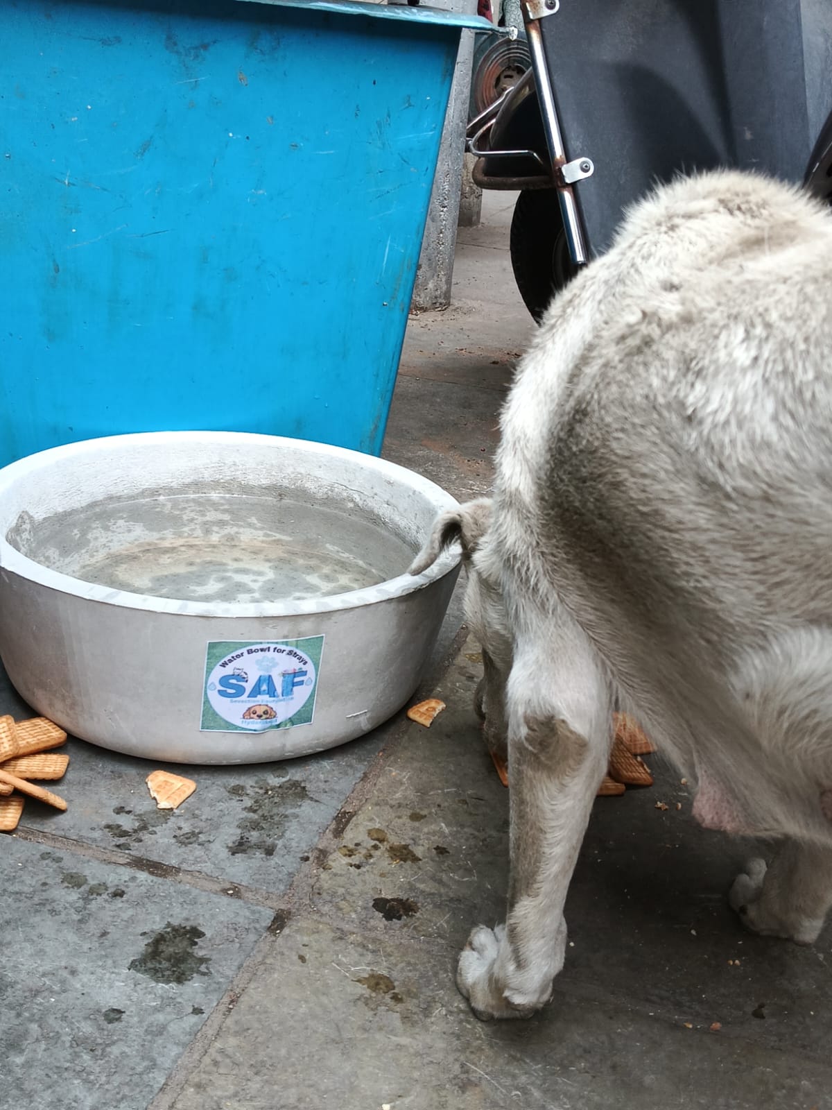 Animal rescue
